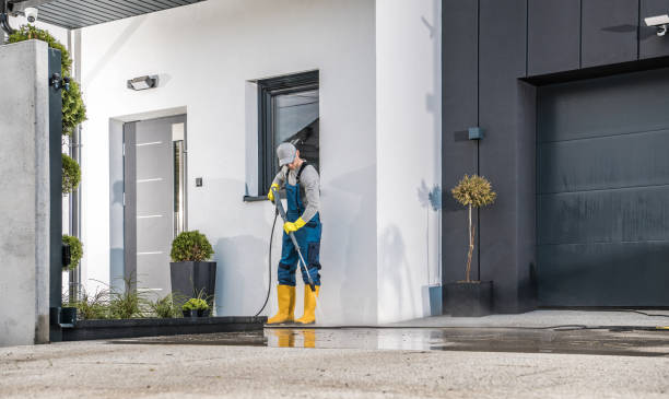 Best Fence Cleaning  in Daniels, WV